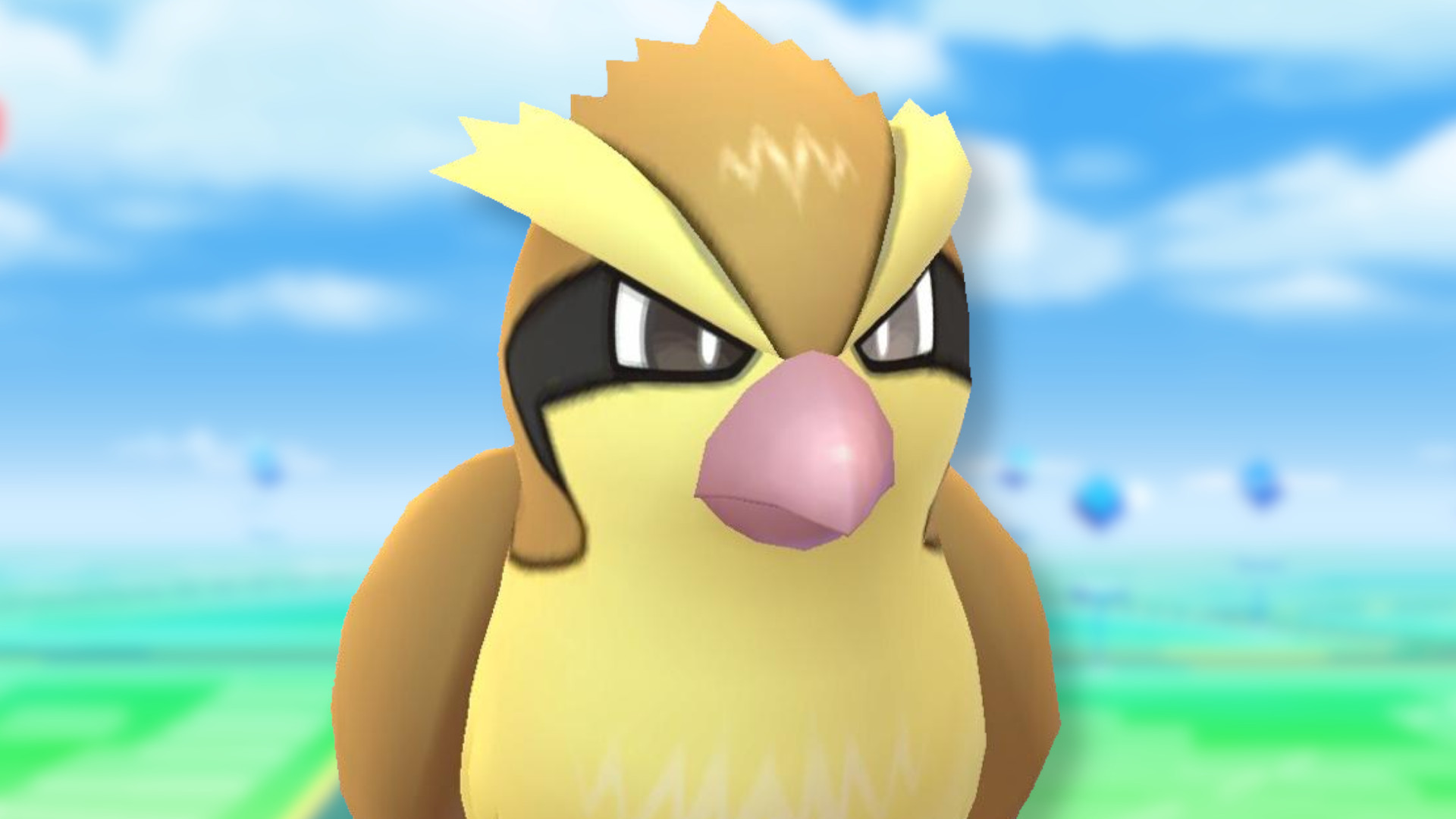 Pokemon GO Taubsi Rampenlichtstunde