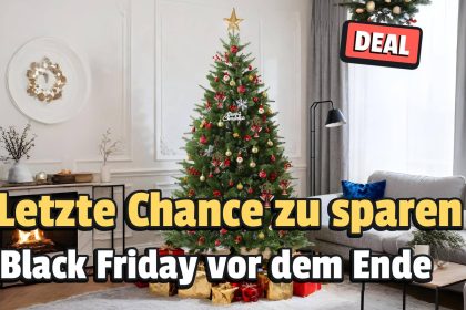 black friday deal 301125