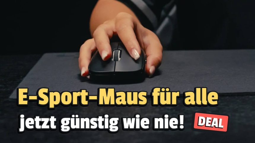 maus deal 291125